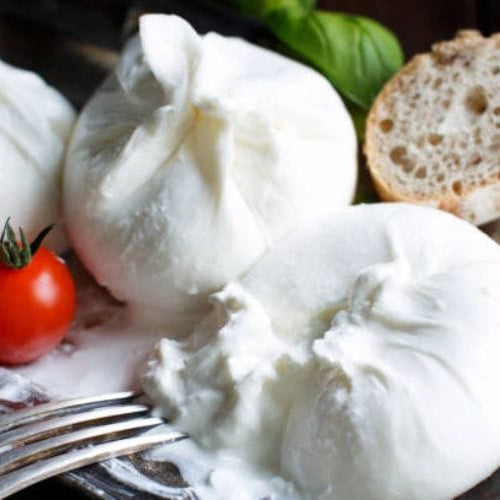 A Symphony of Creaminess: Unleashing the Taste Sensations of Burrata Cheese