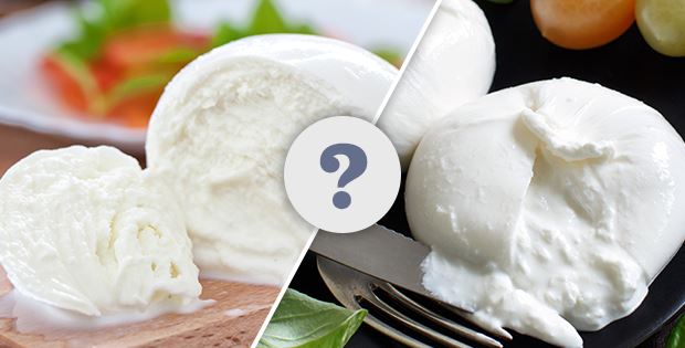 The Difference Between Mozzarella and Burrata