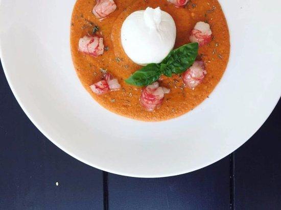 Pappa al Pomodoro with Burrata